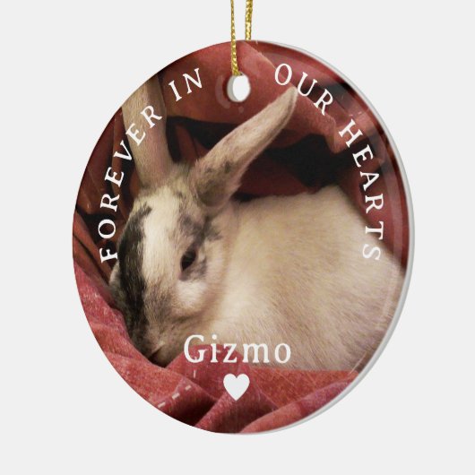 永遠に我々のハートでパーソナライズされたペット記念碑 セラミックオーナメント (左)