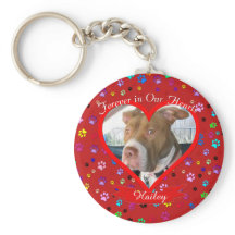 永遠に我々のハートでペット記念碑