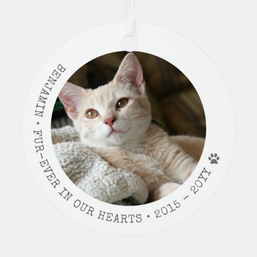 永遠に我々のハートで猫の写真ペット記念碑 メタルオーナメント (裏面)