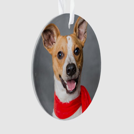 永遠に我々のハートカスタムでペット写真記念 オーナメント (正面)