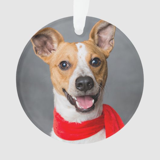 永遠に我々のハートカスタムでペット写真記念 オーナメント (正面)