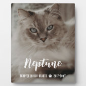 永遠に我々のハート名の中でScript Cat Memorial フォトプラーク (正面)