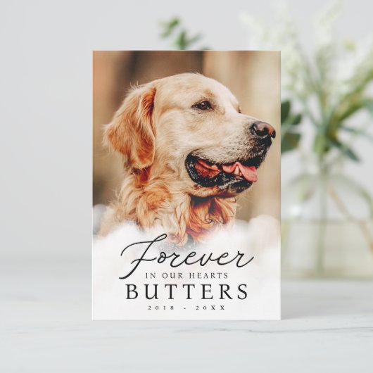 永遠に私たちのハートでペット記念モダン写真 サンキューカード (スタンド正面)