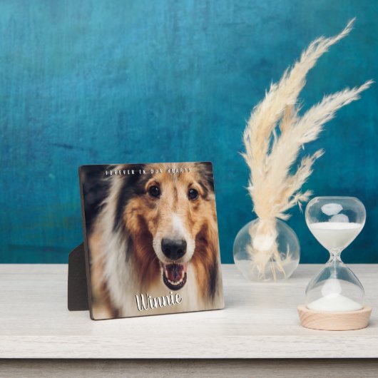 永遠に私たちのハートで写真ペットのキープサキーメモリ フォトプラーク (インサイチュ)