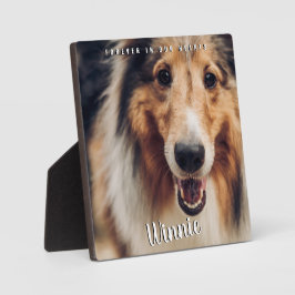 永遠に私たちのハートで写真ペットのキープサキーメモリ フォトプラーク