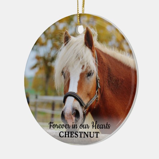 永遠に私たちのハートで馬の写真ペット記念碑 セラミックオーナメント (左)