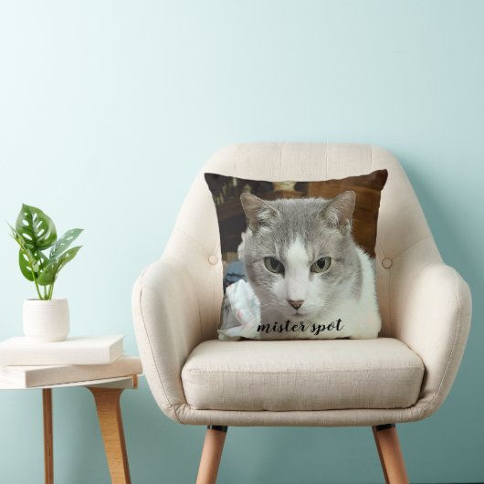 永遠に私たちのハートで2写真名キャットドッグペット クッション (椅子)