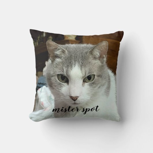 永遠に私たちのハートで2写真名キャットドッグペット クッション (正面)