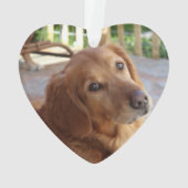 永遠に私たちのハートの犬の写真 オーナメント (裏面)