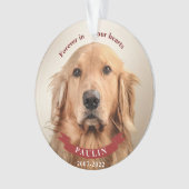 永遠に私たちのハートカスタム- Pet Photo オーナメント (正面)