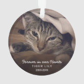 永遠に私たちのハート写真猫ペット記念館 オーナメント (裏面)