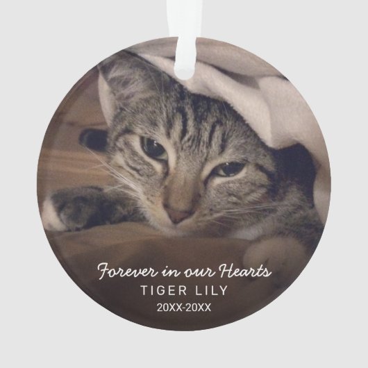 永遠に私たちのハート写真猫ペット記念館 オーナメント (裏面)