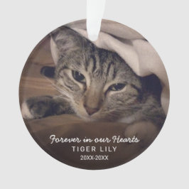 永遠に私たちのハート写真猫ペット記念館 オーナメント
