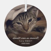 永遠に私たちのハート写真猫ペット記念館 ガラスオーナメント (裏面)