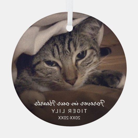 永遠に私たちのハート写真猫ペット記念館 ガラスオーナメント (裏面)