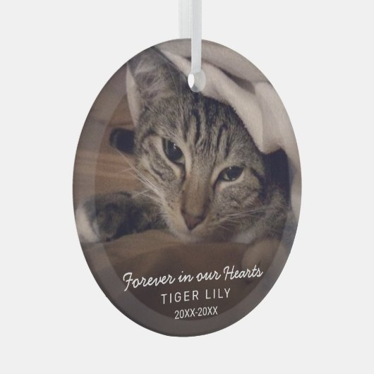 永遠に私たちのハート写真猫ペット記念館 ガラスオーナメント (正面右)