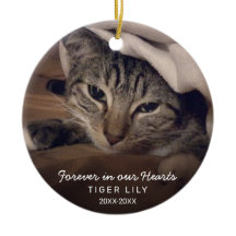 永遠に私たちのハート写真猫ペット記念館