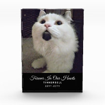 永遠に私たちのハート猫記念ペットの写真名