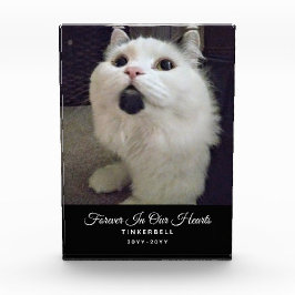 永遠に私たちのハート猫記念ペットの写真名 フォトブロック