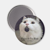 永遠に私たちのハート猫記念写真カスタム マグネット (正面/裏面)