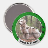 永遠に私のハート犬または猫記念碑 マグネット (正面/裏面)