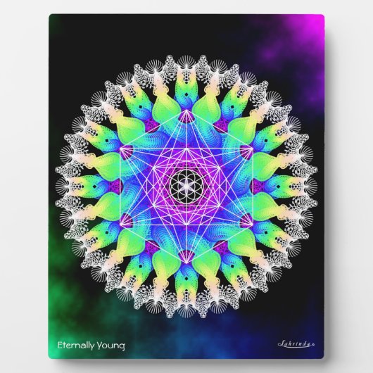 永遠に若い フォトプラーク (正面)