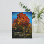 永遠に赤いはがき ポストカード (スタンド正面)