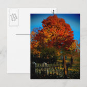 永遠に赤いはがき ポストカード (正面/裏面)