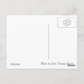 永遠に赤いはがき ポストカード (裏面)