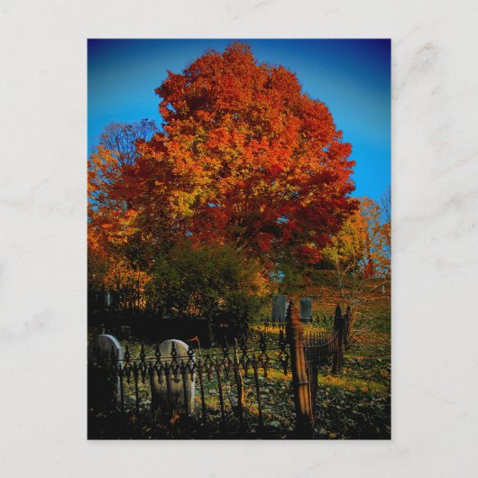 永遠に赤いはがき ポストカード (正面)