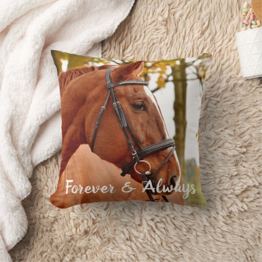 永遠に馬の記念記念の記念撮影 クッション (ブランケット)