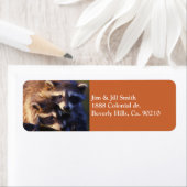 永遠のアライグマ ラベル (インサイチュ)