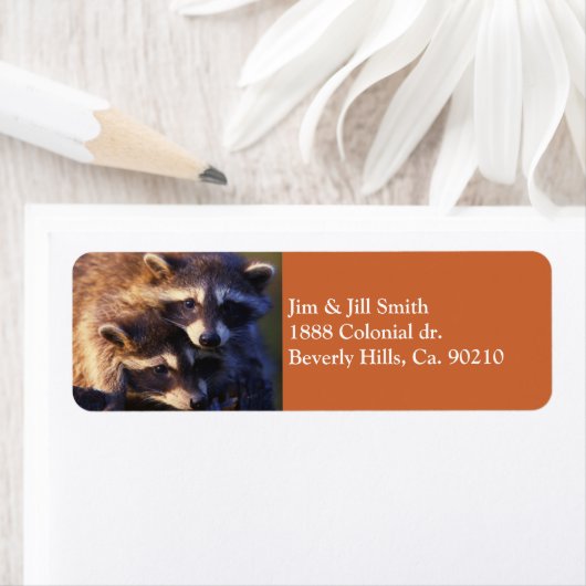 永遠のアライグマ ラベル (インサイチュ)