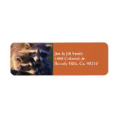 永遠のアライグマ ラベル (正面)