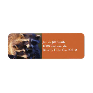 永遠のアライグマ ラベル