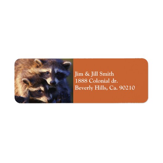 永遠のアライグマ ラベル (正面)