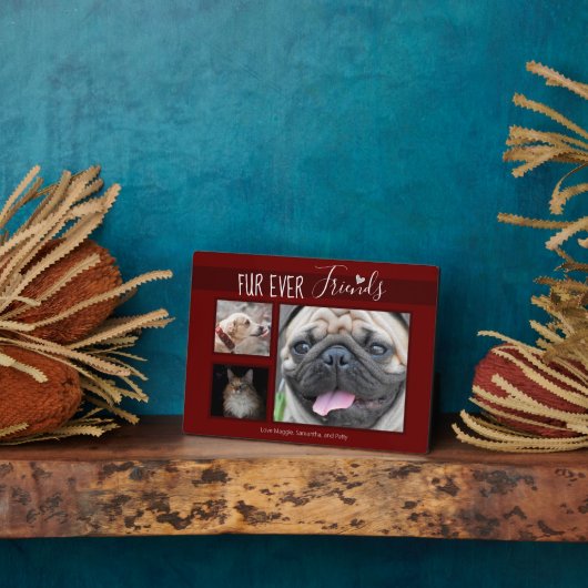 永遠の友だち記念撮影ペット フォトプラーク (側面)