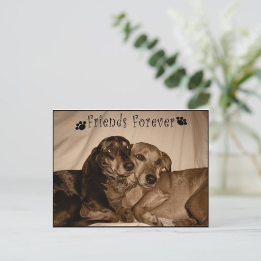 永遠の友人 ポストカード (スタンド正面)