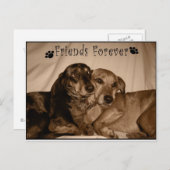 永遠の友人 ポストカード (正面/裏面)
