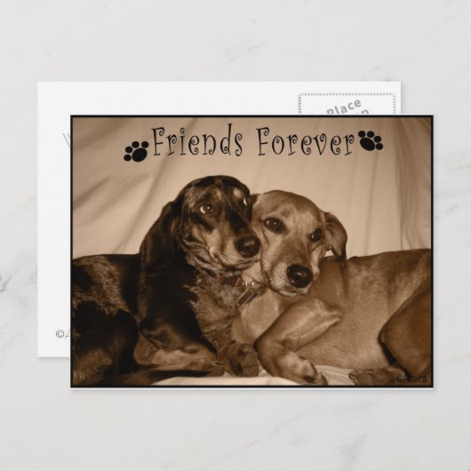 永遠の友人 ポストカード (正面/裏面)