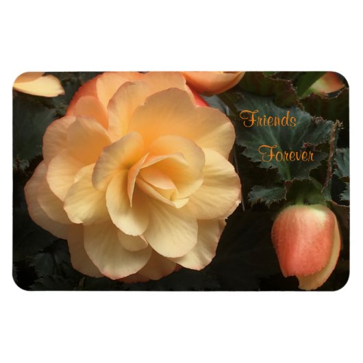 永遠の友人 マグネット (横)