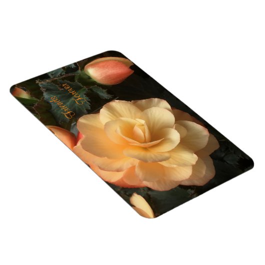 永遠の友人 マグネット (右側)