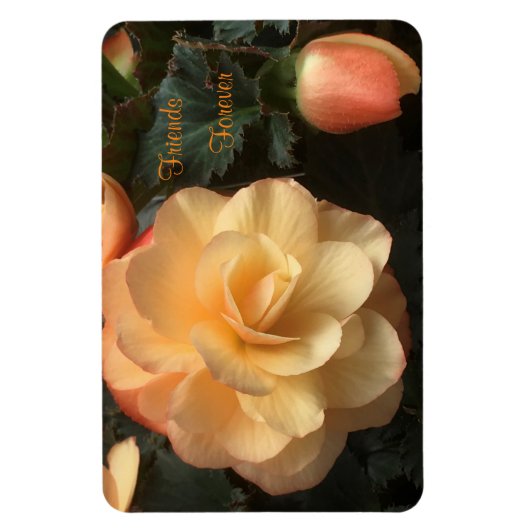 永遠の友人 マグネット (縦)