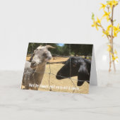 永遠の友達 馬鹿げたカード カード (黄色い花)