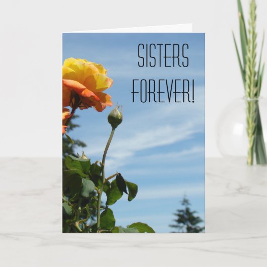 永遠の姉妹！カ感謝してい素晴らしード サンキューカード (正面)