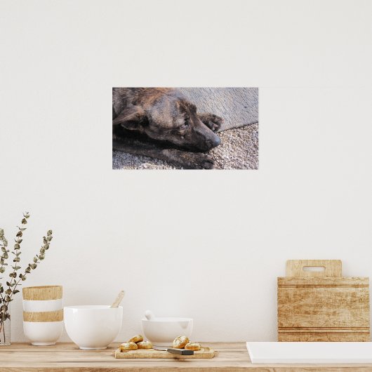 永遠の家に希望を持っている ポスター (キッチン)