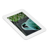 永遠の希望の磁石 マグネット (右側)