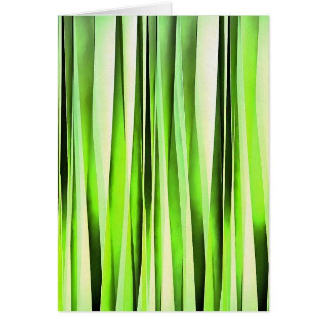 永遠の常緑のStripyパターン (正面)