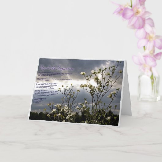 永遠の心地よい：キリスト教の同情カード カード (蘭)