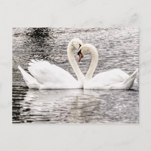 永遠の愛 ポストカード (正面)